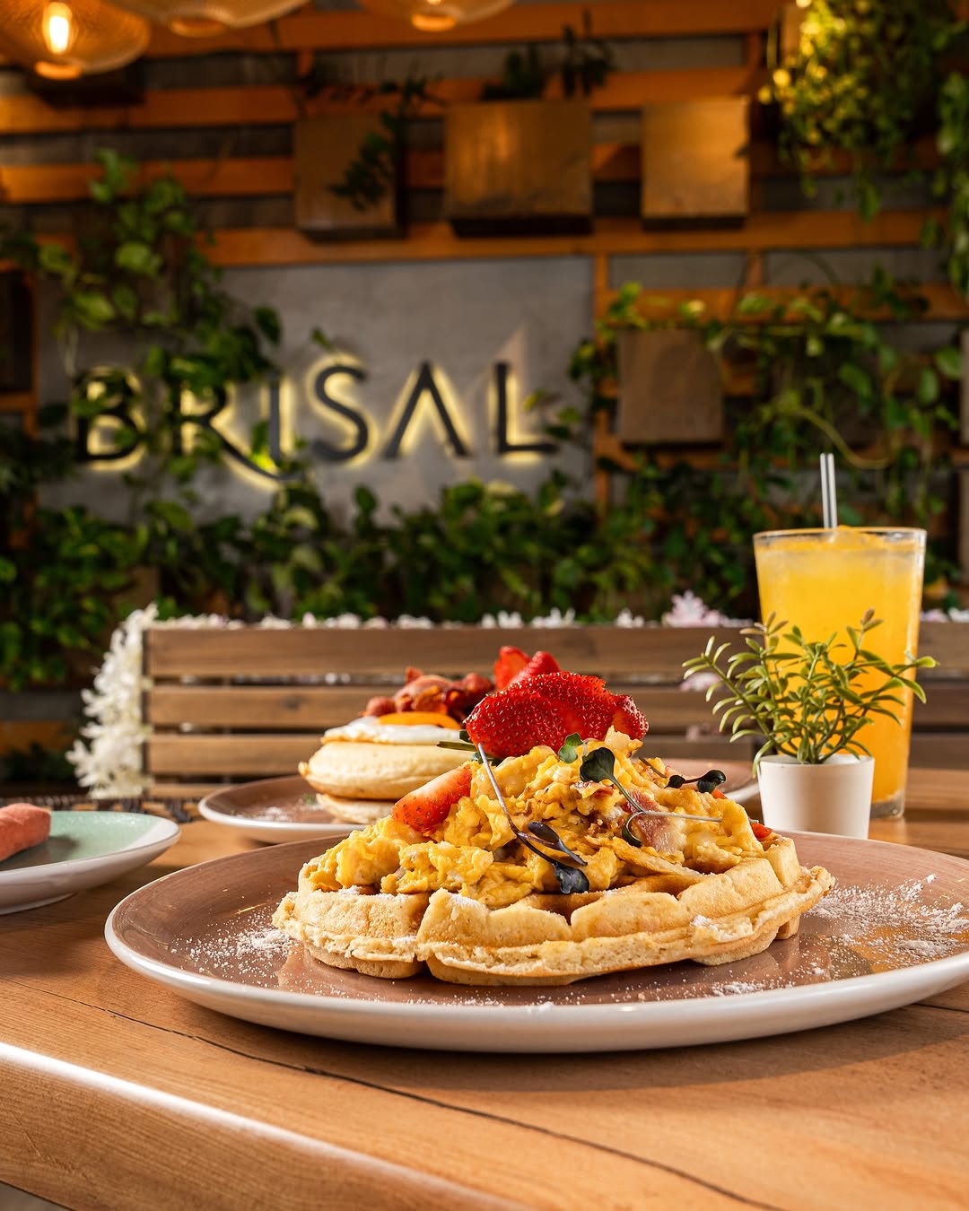 BrisalRD